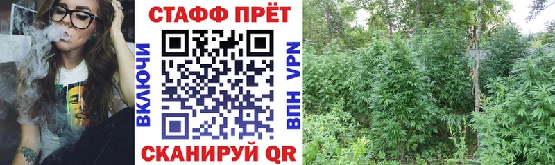Продажа наркотиков Острогожск КОКАИН Конопля Alpha-PVP ГАШ Меф