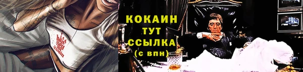 ГАЛЛЮЦИНОГЕННЫЕ ГРИБЫ Аркадак