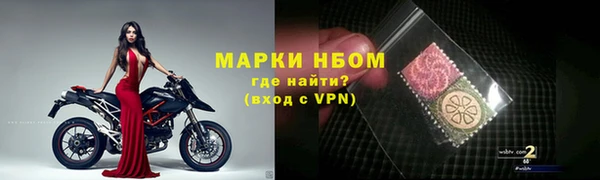 ГАЛЛЮЦИНОГЕННЫЕ ГРИБЫ Аркадак