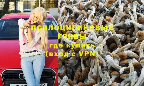 apvp Армянск