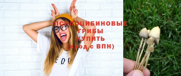 ГАЛЛЮЦИНОГЕННЫЕ ГРИБЫ Аркадак