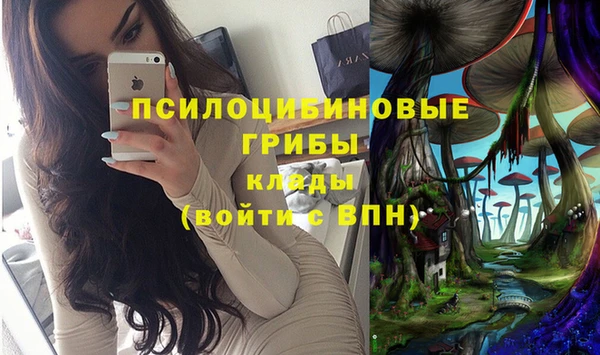 apvp Армянск