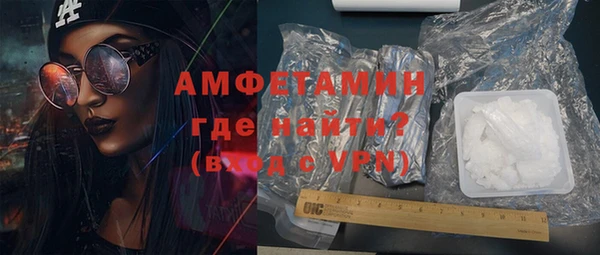 ГАЛЛЮЦИНОГЕННЫЕ ГРИБЫ Аркадак